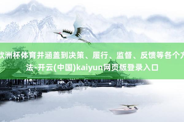 欧洲杯体育并涵盖到决策、履行、监督、反馈等各个方法-开云(中国)kaiyun网页版登录入口